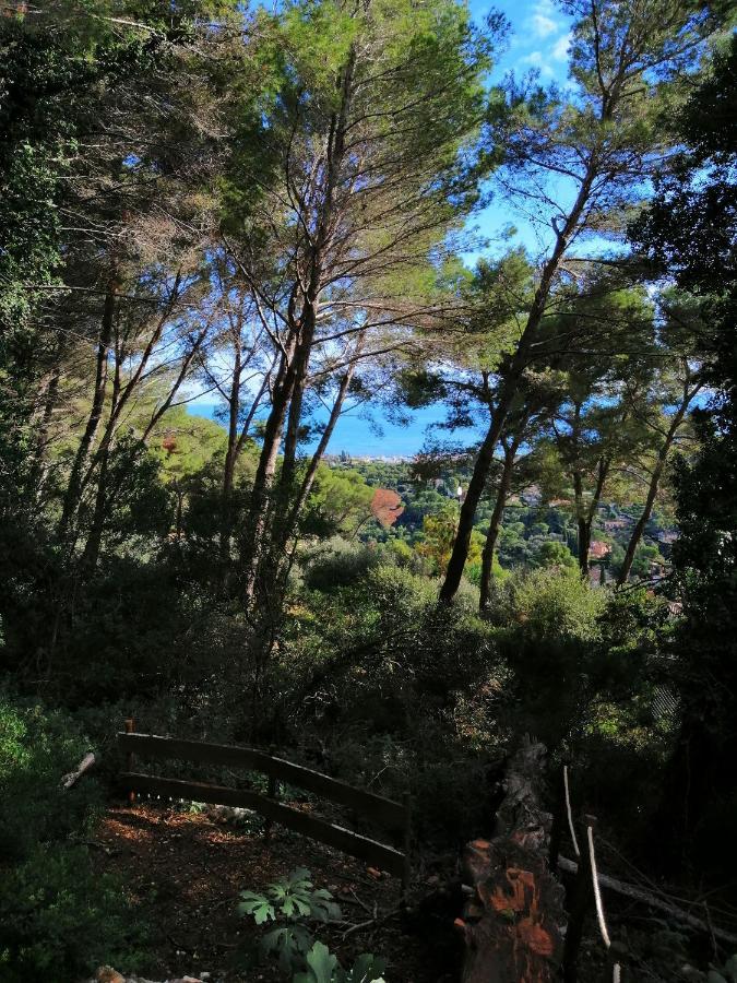 Cabane Azur Mountain วาลูริส ภายนอก รูปภาพ